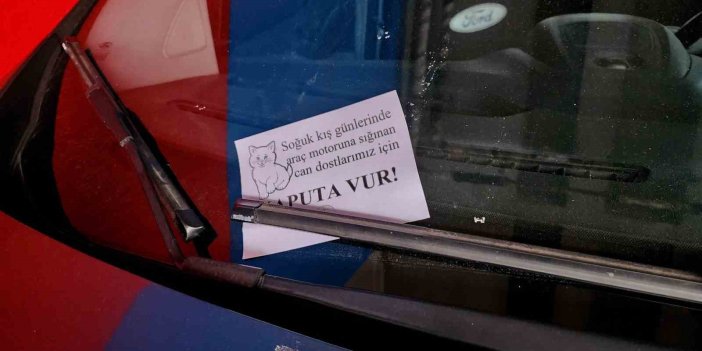 Erzincan'da lise öğrencileri ‘Kaputa Vur’ farkındalık eğitimi gerçekleştirdi