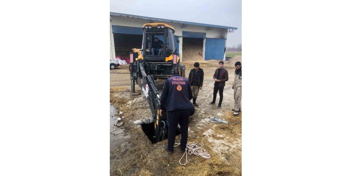 Elazığ'da itfaiye ekipleri kuyuya düşen gebe inek için zamanla yarıştı