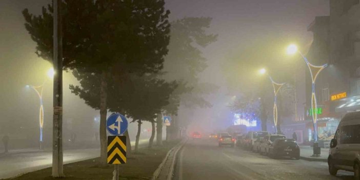 Tatvan’da yoğun sis etkili oldu