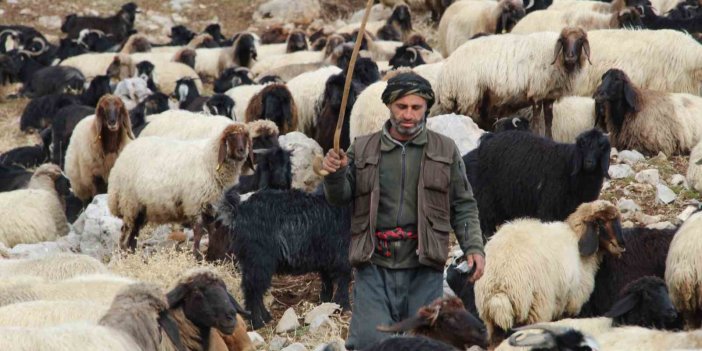 Şırnak’ta göçerlerin kışlaklara doğru zorlu yolculukları sürüyor