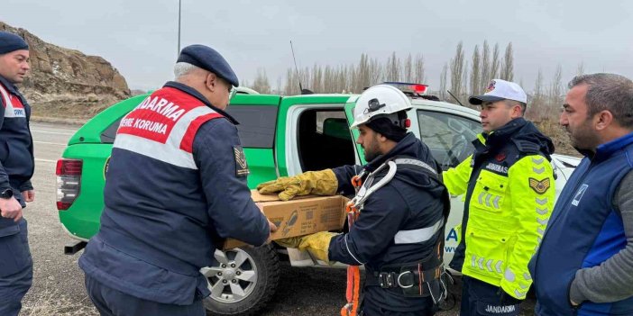 Varto'da elektrik tellerine sıkışan puhu kuşu kurtarıldı