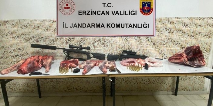 Erzincan’da susturucu kullanarak dağ keçilerini kaçak avlayan 4 kişiye 692 bin 192 TL ceza uygulandı