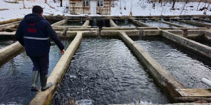 Erzincan’da tesis ve kuluçkahane denetimleri devam ediyor