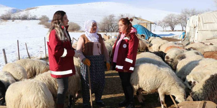 Van'da kadınlar hayvancılığa el attı