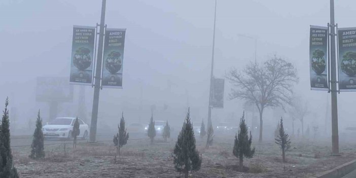 Diyarbakır’da sis etkili odu