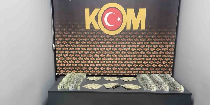 Doğubayazıt’ta 18 bin 700 sahte dolar yakalandı