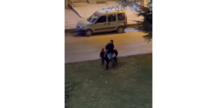 Elazığ'da caddede eşekle gezinti renkli görüntüler oluşturdu