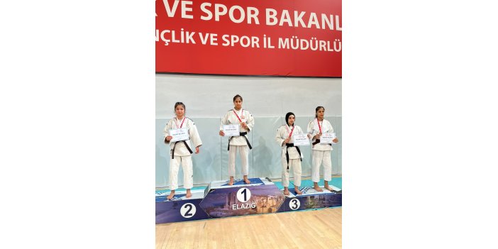 Hakkari’den judo şampiyonasında iki madalya