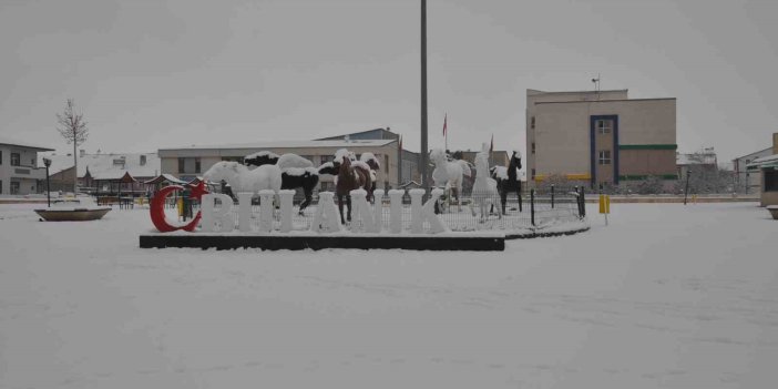 Muş’ta kar yağışı etkili oldu