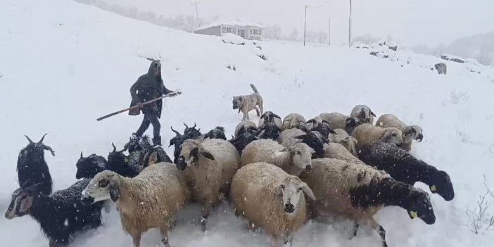 Muş’ta kar yağışı çiftçilerin hayatını olumsuz yönde etkiledi