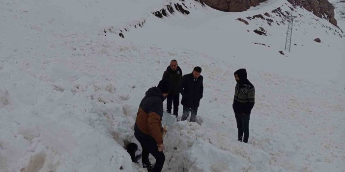 Çığ düştü, kepçe operatörü ölümden döndü