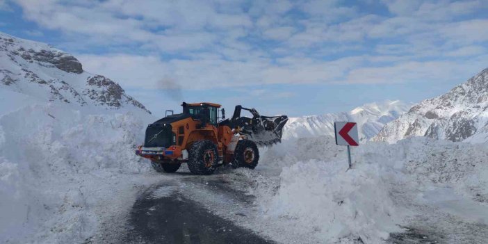 Bahçesaray'da yola düşen çığ temizleniyor