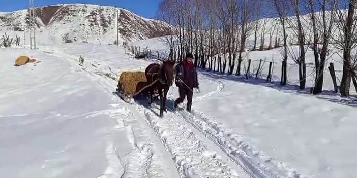 Karlıova'da besicilerin kar altında zorlu mesaisi