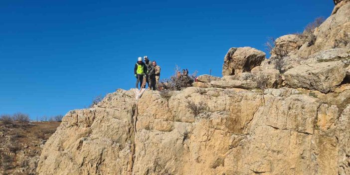 4 gündür kayalıklarda mahsur kalan keçi kurtarıldı