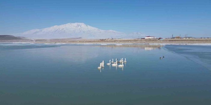 Bitlis'te kuş cenneti kısmen dondu