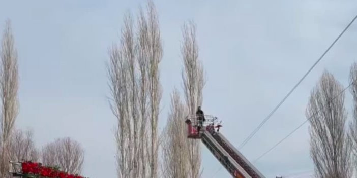 Düğünde uçurulan dron ağaçlara takıldı, yardıma itfaiye ekipleri yetişti