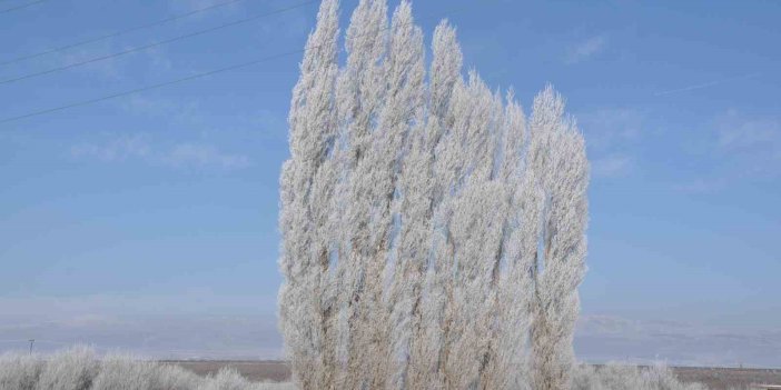 Kars'ta hava sıcaklığı iyice düştü ağaçlar kırağı tuttu