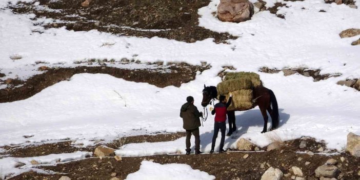 Uzmanlar uyardı: Yaban hayvanlarına bilinçsiz yem bırakmayın