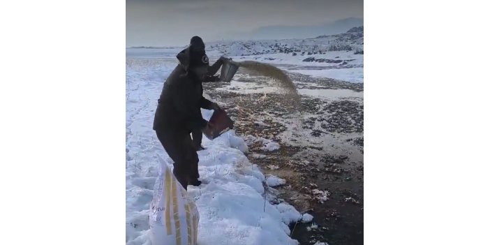 Yaban hayvanları için doğaya yem bırakıldı