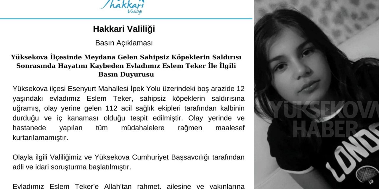 Valilik’ten köpek saldırısında ölen Eslem ile ilgili açıklama