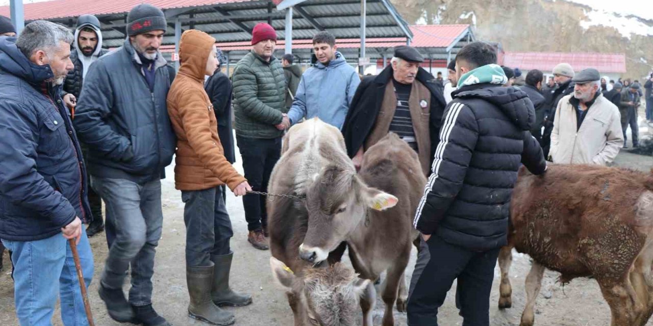 Oltu’daki hayvan pazarı tekrar açıldı