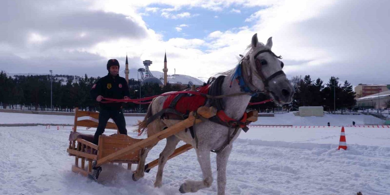 Erzurum’da atlı kızak heyecanı yaşandı