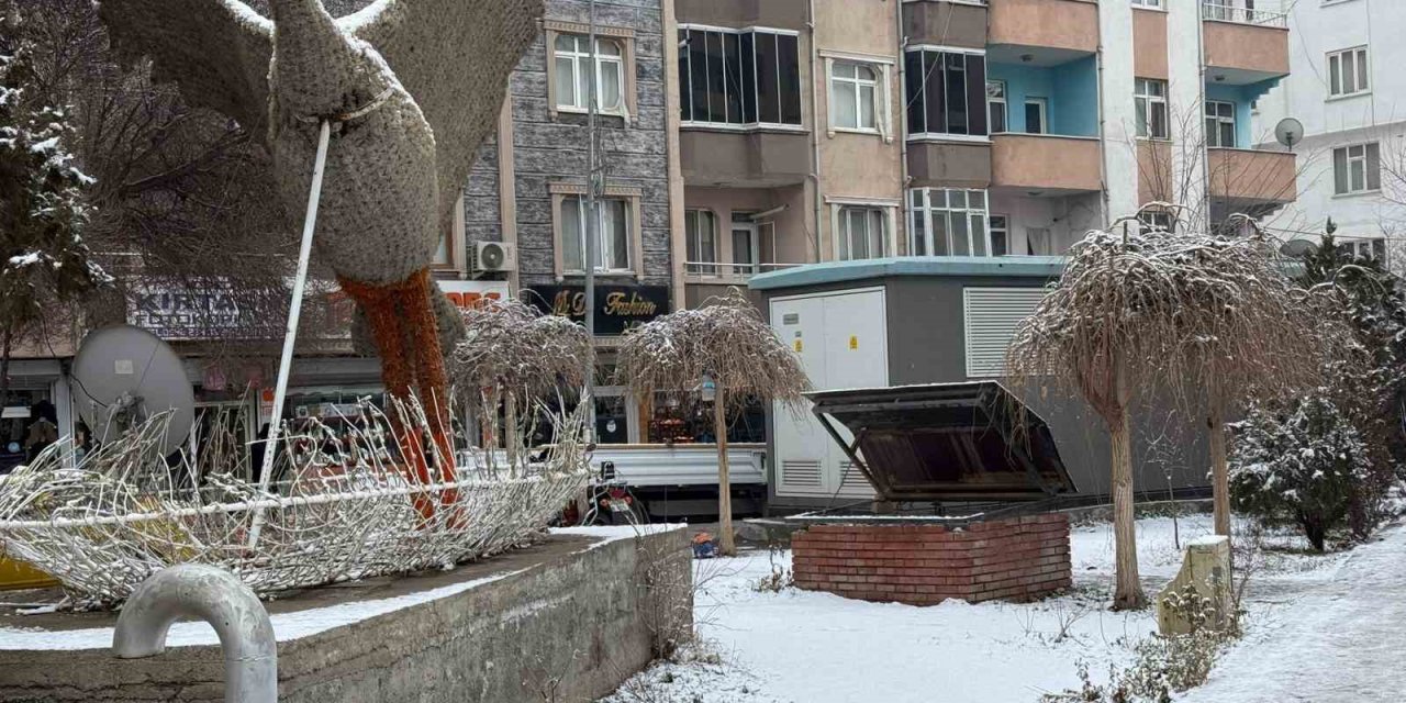 Iğdır kent merkezine mevsimin ve yılın ilk karı yağdı