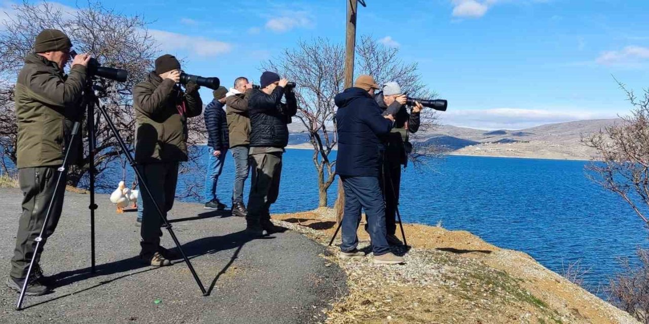 Elazığ’da su kuşu sayım çalışmaları düzenlendi