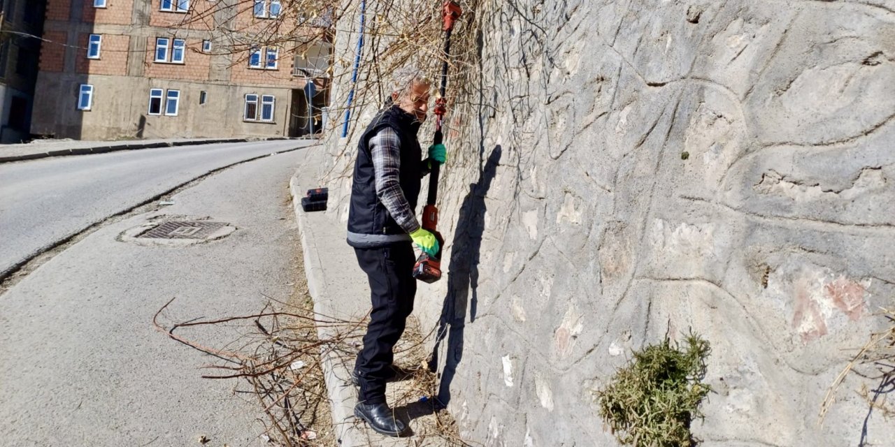 Yaya geçidindeki ağaç dalları kesildi