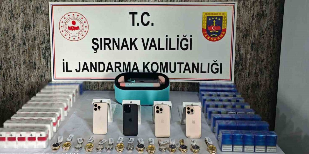 Şırnak’ta kaçakçılık operasyonu: 1 tutuklama