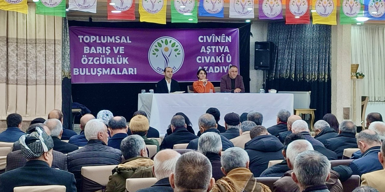 DEM Parti ve DBP’den Yüksekova’da ‘Toplumsal Barış ve Özgürlük Buluşmaları’