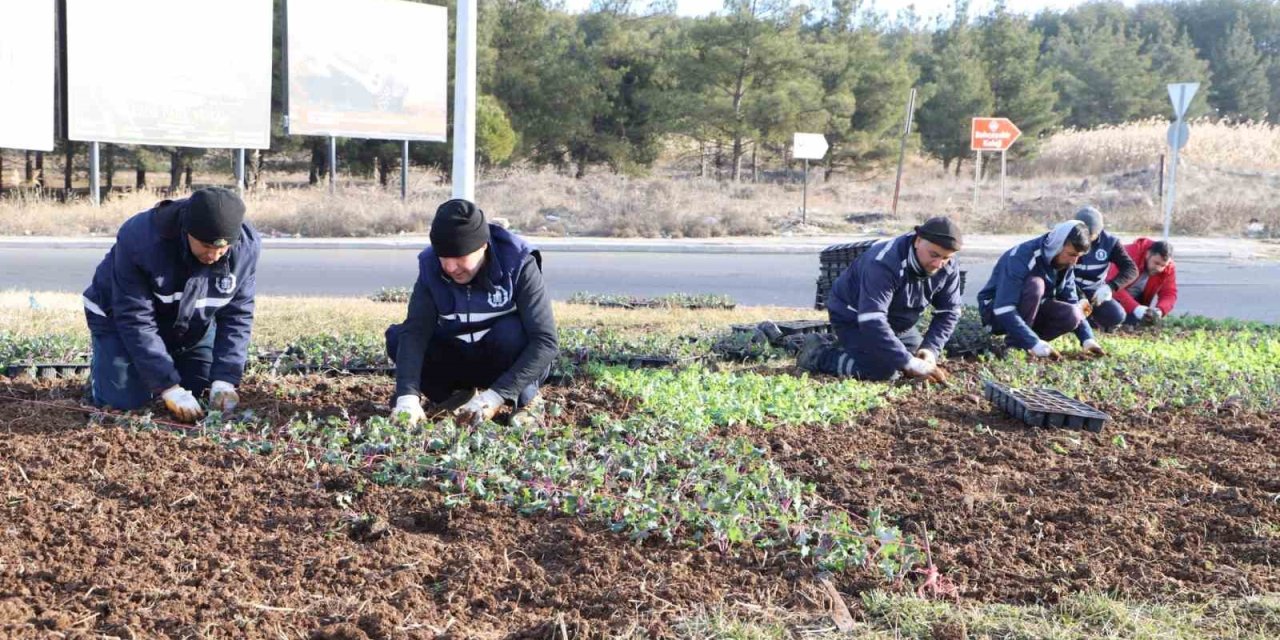 Diyarbakır’da çiçeklendirme çalışmaları sürüyor