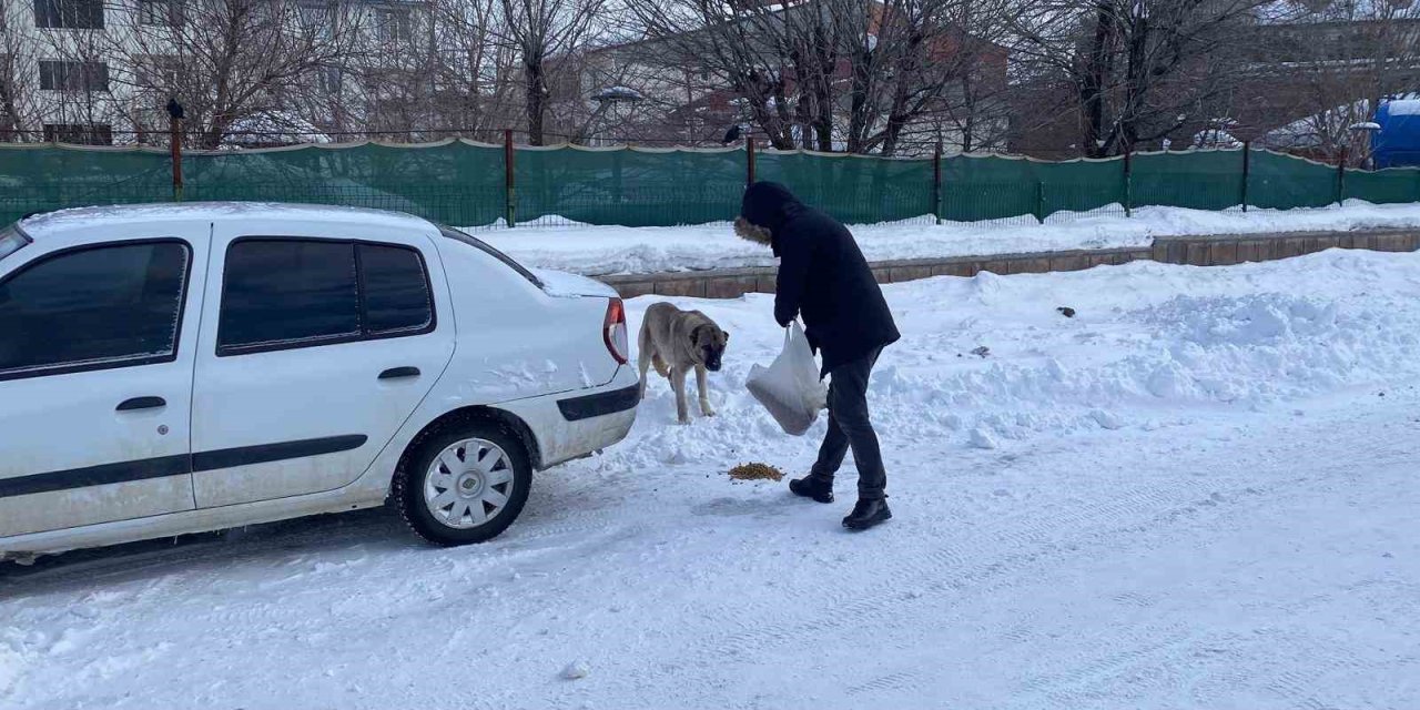 Karlıova'da zorlu kış şartlarında sokak sokak gezerek hayvanları besliyor