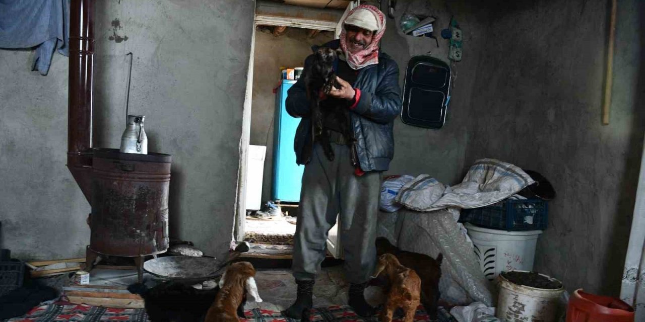 Vanlı besici, 9 senedir Şırnak’taki Faraşin Yaylası’nda hayvanlarıyla yaşıyor