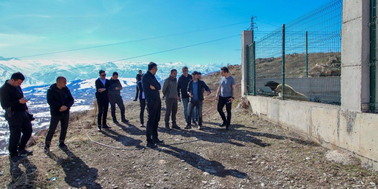 Vali Çelik, Hakkari ve Yüksekova’da sokak hayvanları için barınak kurulabilecek alanları inceledi