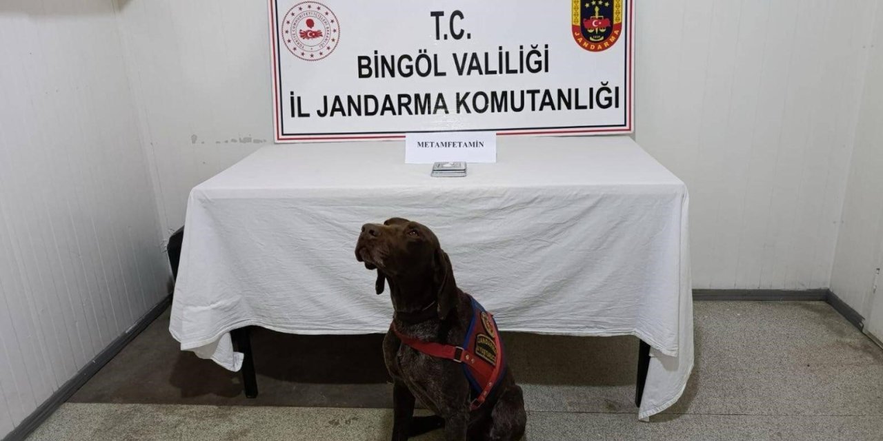 Bingöl’de uyuşturucuyla mücadelede 2 gözaltı