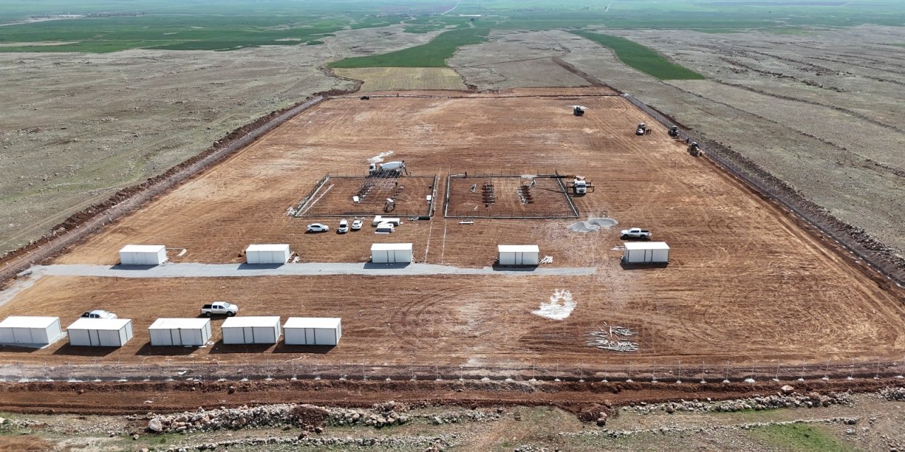 Şırnak'ta sokak hayvanları yeni merkezde toplanacak