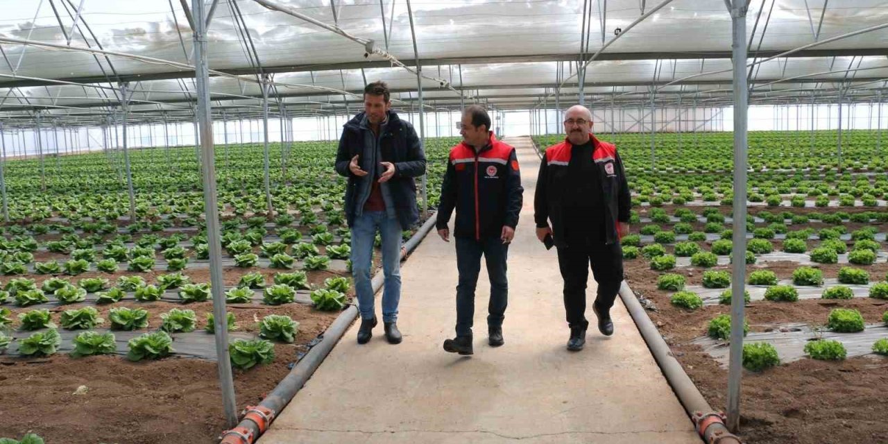 Erzincan seralarında senede 3 ürün dönemi