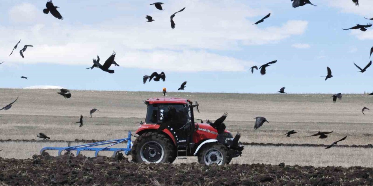 Kars’ta 270 bin hektarı aşkın alanda hububat ve yem bitkisi ekimi yapılmaya başlandı