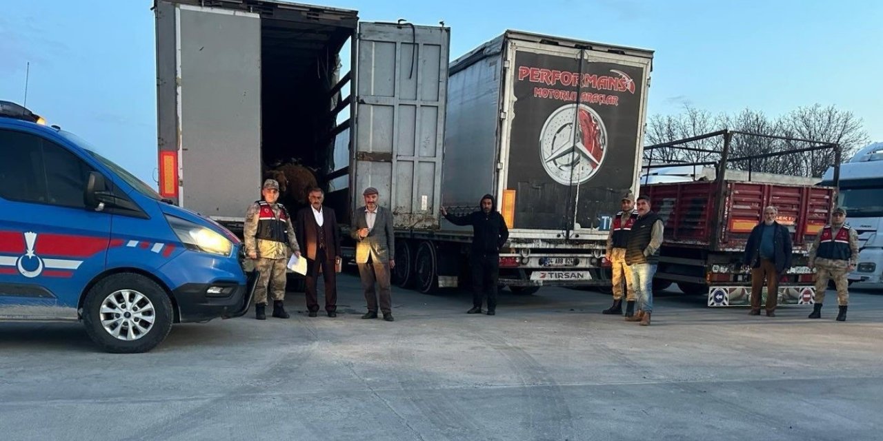Ağrı'dan çalınan 300 küçükbaş hayvan, Bitlis'te yakalandı