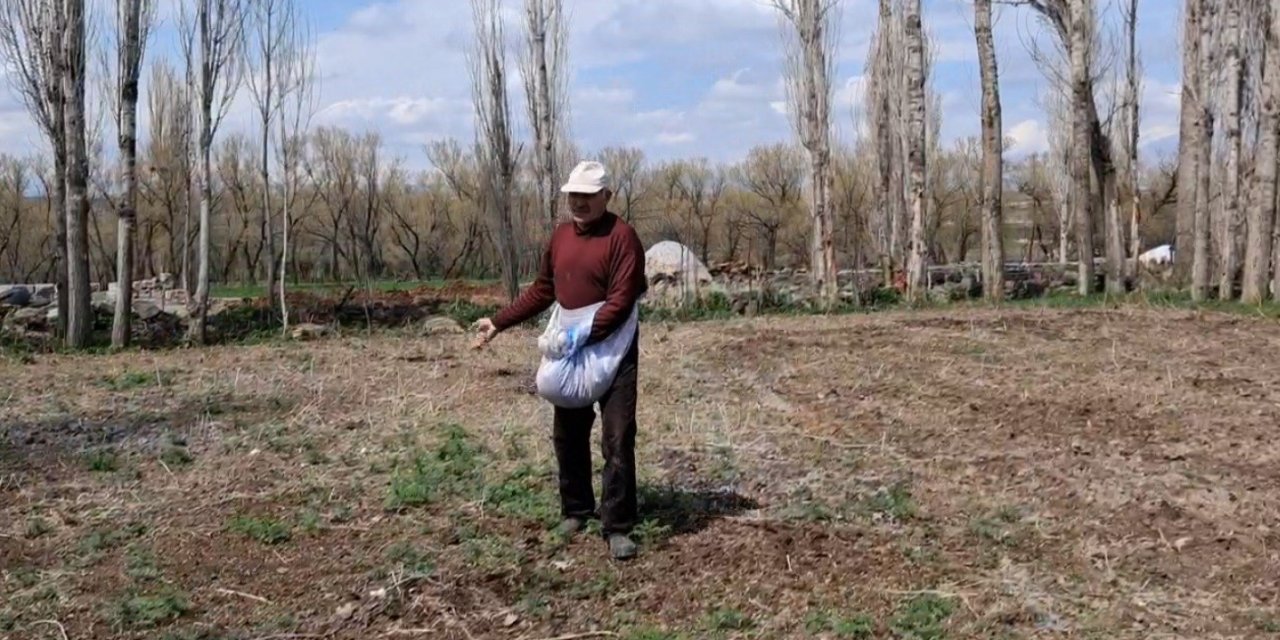 Akyaka’da elle tohum serpme geleneği sürüyor