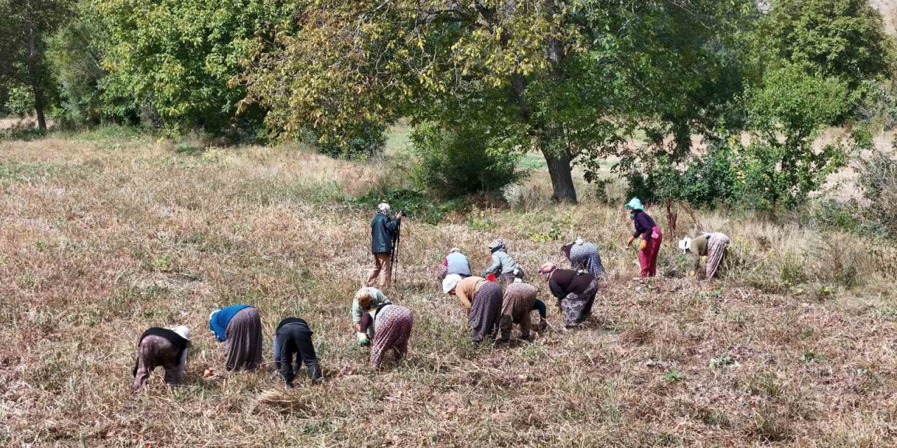 Bakan Yumaklı, 6.7 milyar liralık destekleme ödemesinin bugün yapılacağını duyurdu