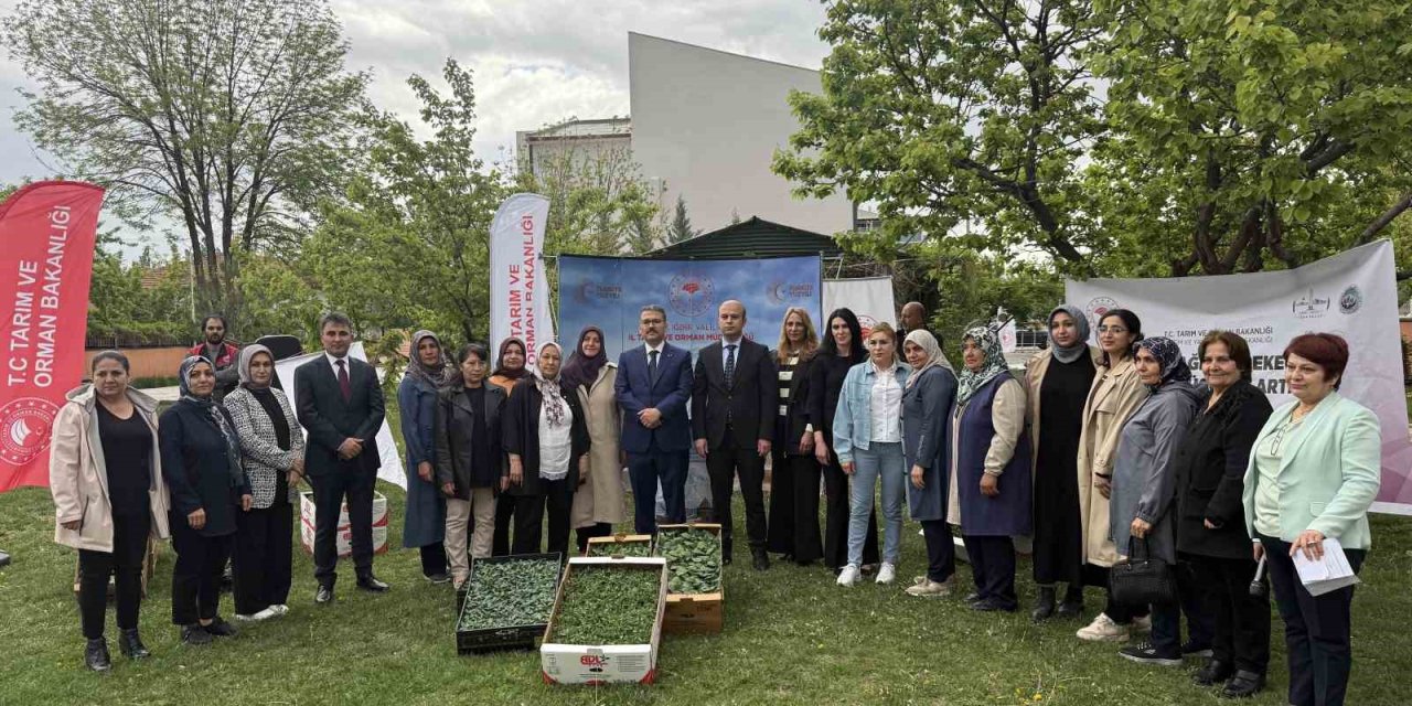 Iğdır'da kadın çiftçilere fide dağıtımı