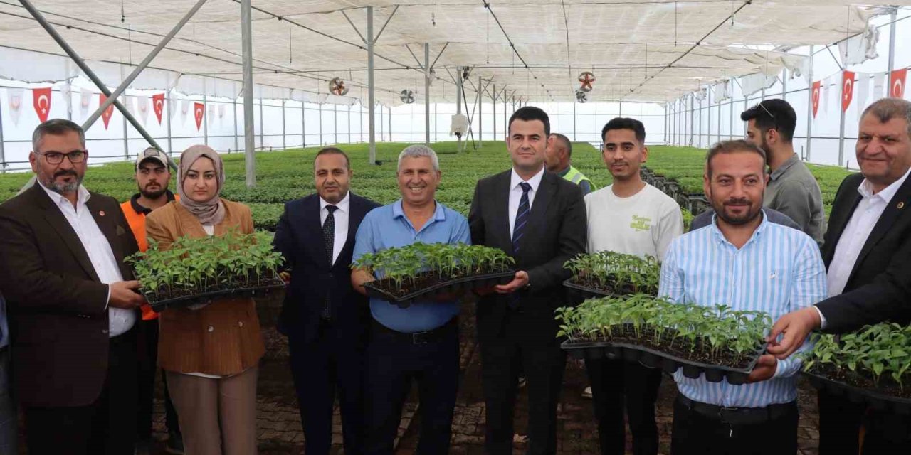 Şanlıurfa'da çiftçilere binlerce Urfa biberi fidesi dağıtıldı