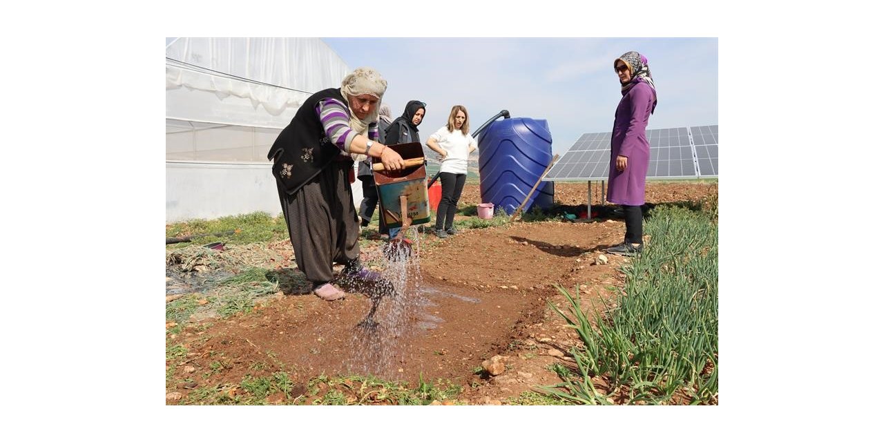 Adıyaman'da kadın çiftçilerle sebze fidesi yetiştirme kursu düzenlendi