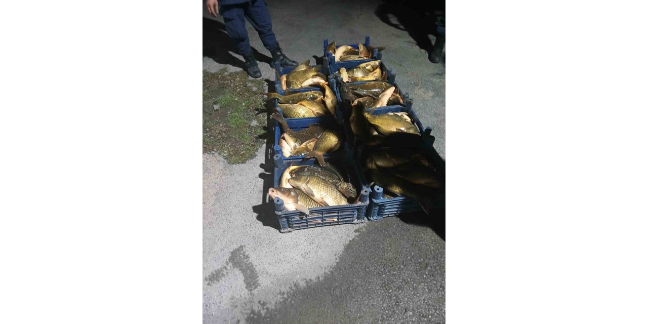 Elazığ’da kaçak avlanılan 210 kilo balık yakalandı