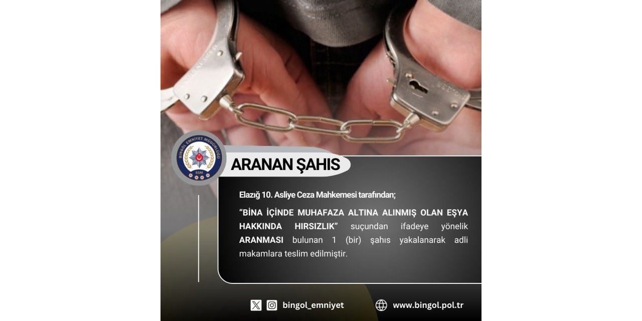 Bingöl'de yapılan polis uygulamalarında 11 kişi yakalandı