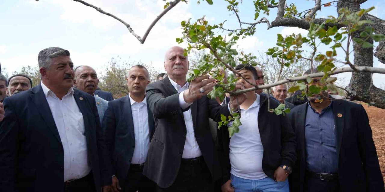 TZOB Genel Başkanı Bayraktar, Antep’te dondan etkilenen bahçeleri inceledi