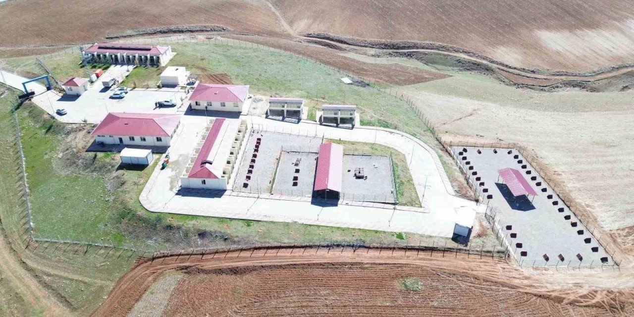 Siirt’te sahipsiz hayvanlar güvenli yaşam alanına kavuşturuluyor