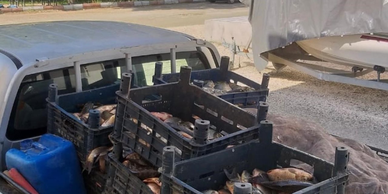Elazığ’da kaçak avlanan 700 kilogram balık ele geçirildi